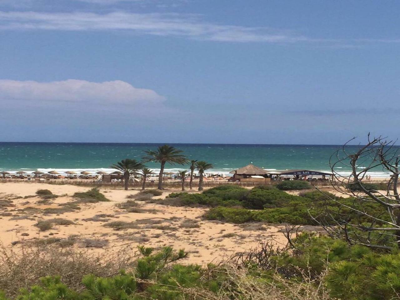Arenales Del Sol Διαμέρισμα Εξωτερικό φωτογραφία